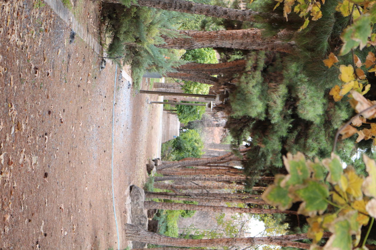 تصویر کانال