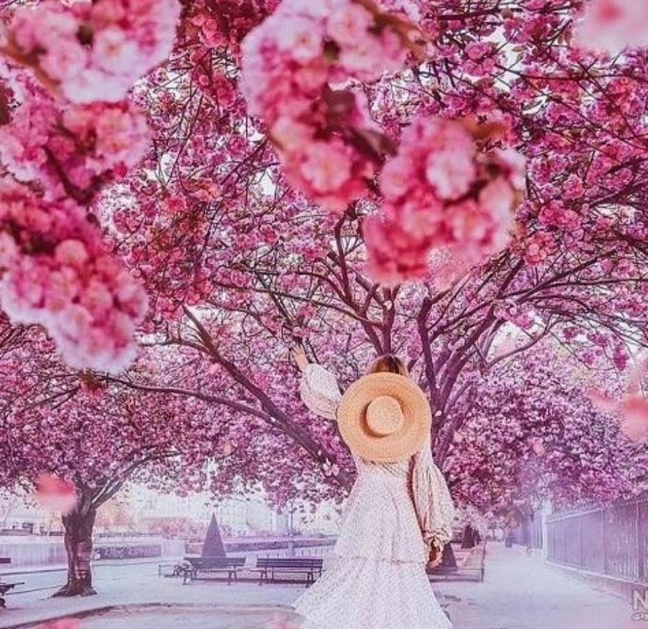 تصویر کانال