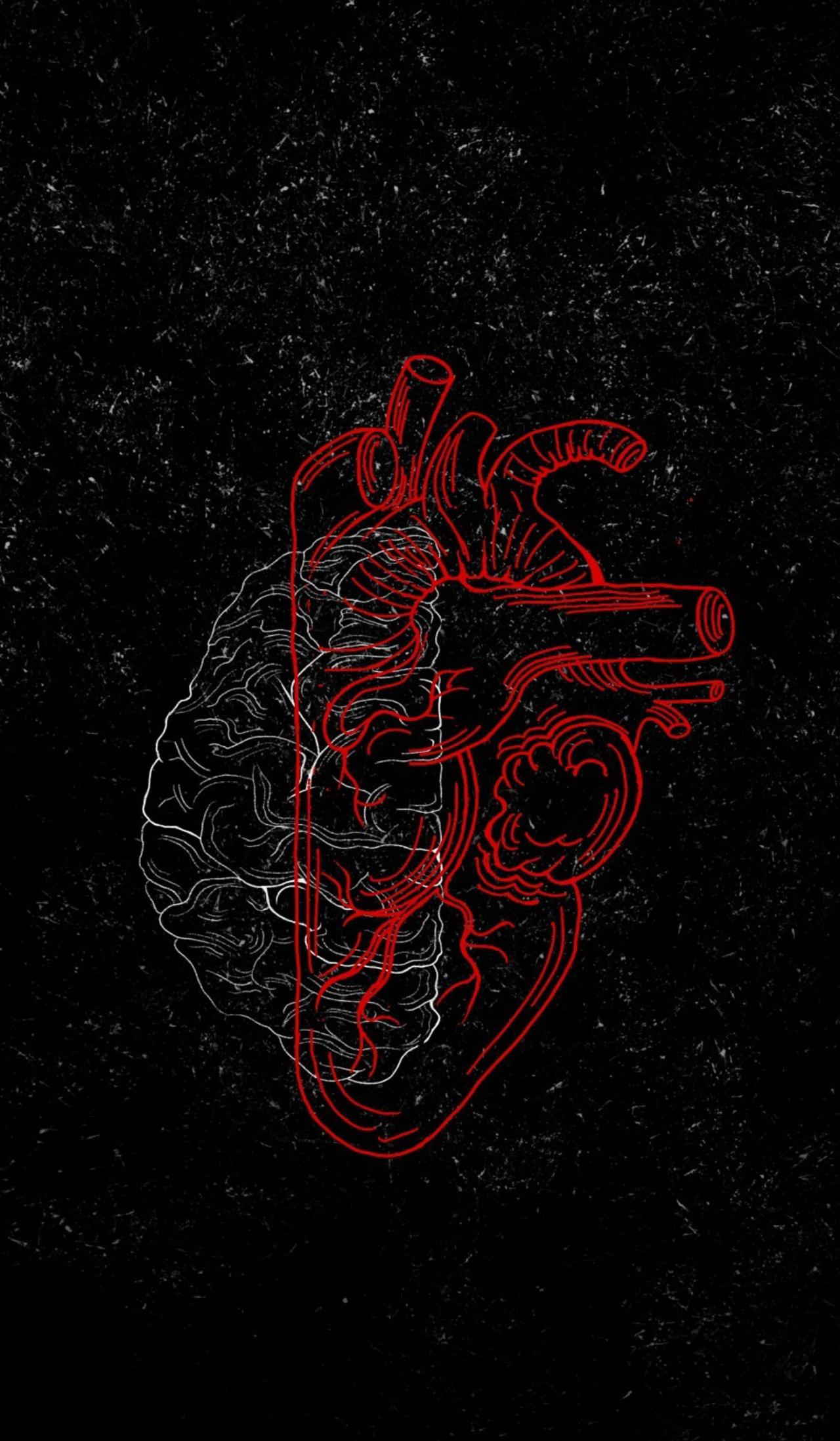 تصویر کانال