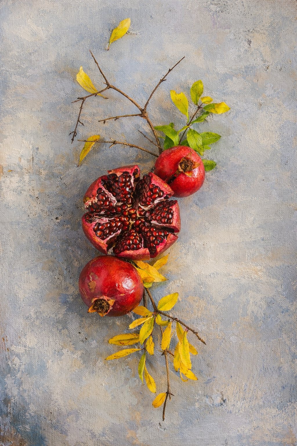 رهایی » از اعتیاد » معتادان گمتام