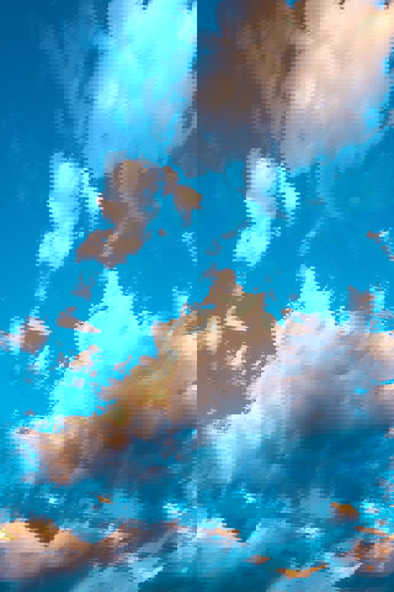 زِنـــدگـــی 