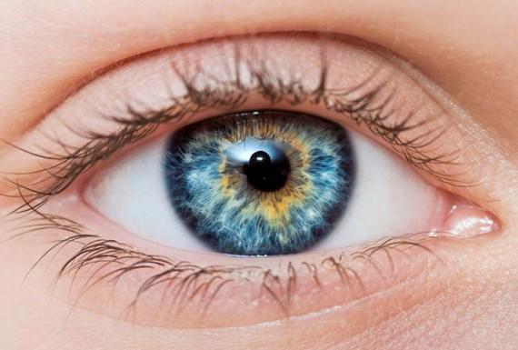 چشم پنجره ای به بیرون و درون 