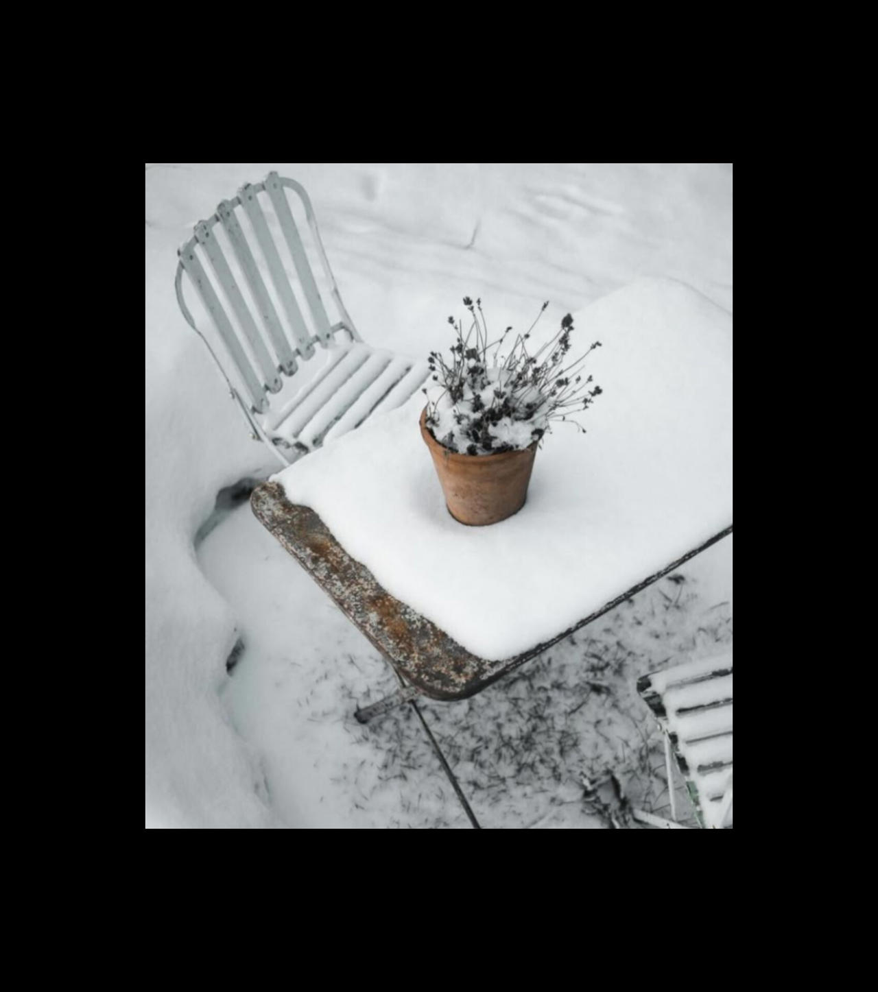 باغ زمستان خورده