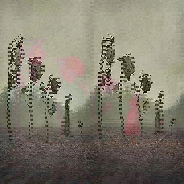 گلی که دوسش داری ولی بهش رسیدگی نمیکنی