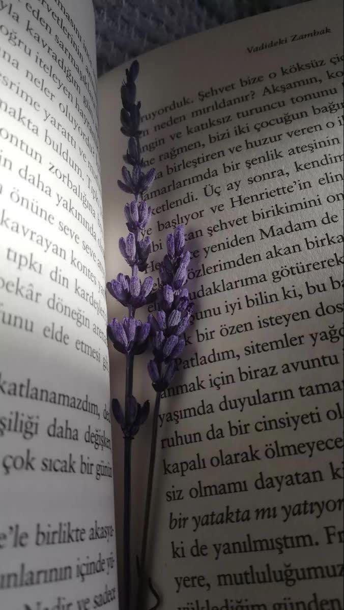 حکایتی از بیدخوان