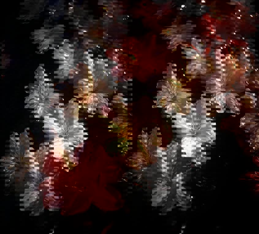 آرامش_صدای خاموشیِ جهان