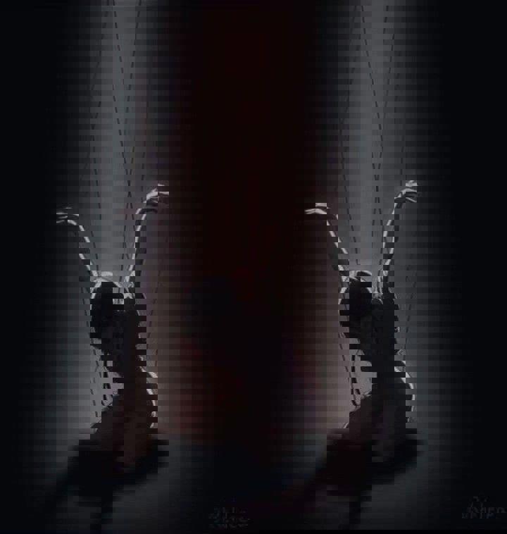 همش یه جوری ام...