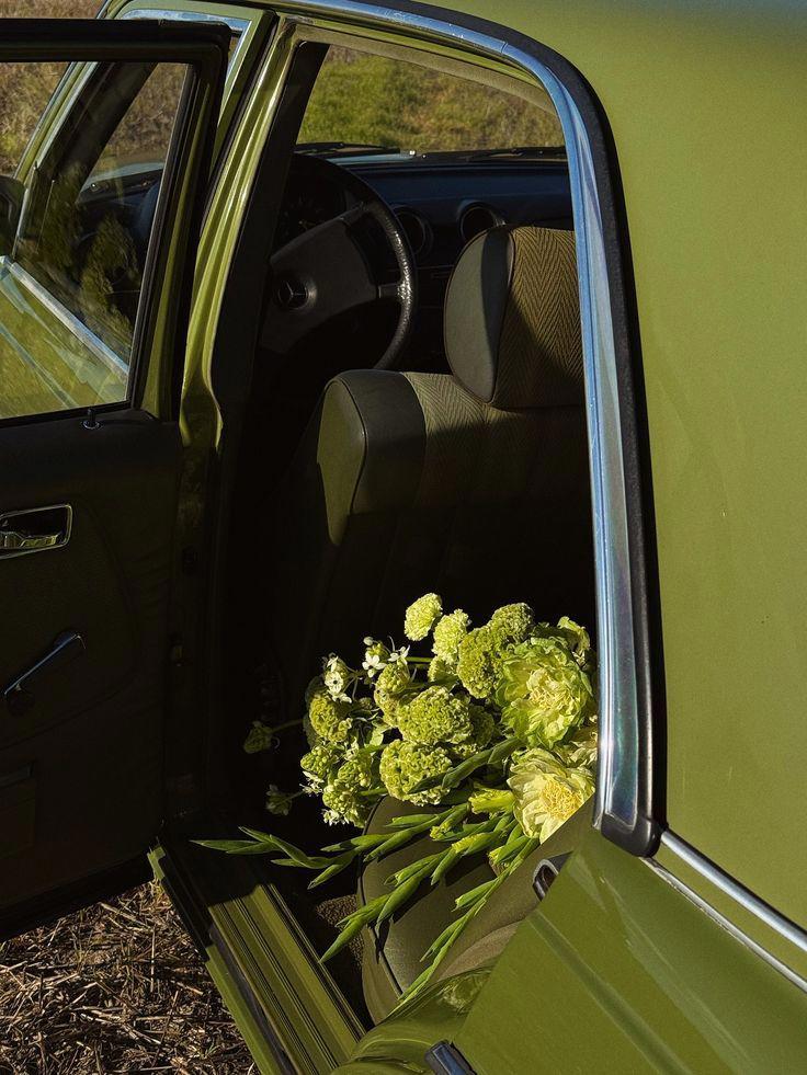 سنجاق های زرین و قفسه های خالی2