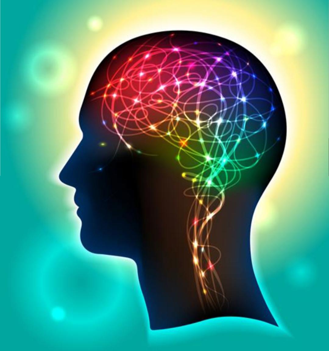 جنبه های انسان