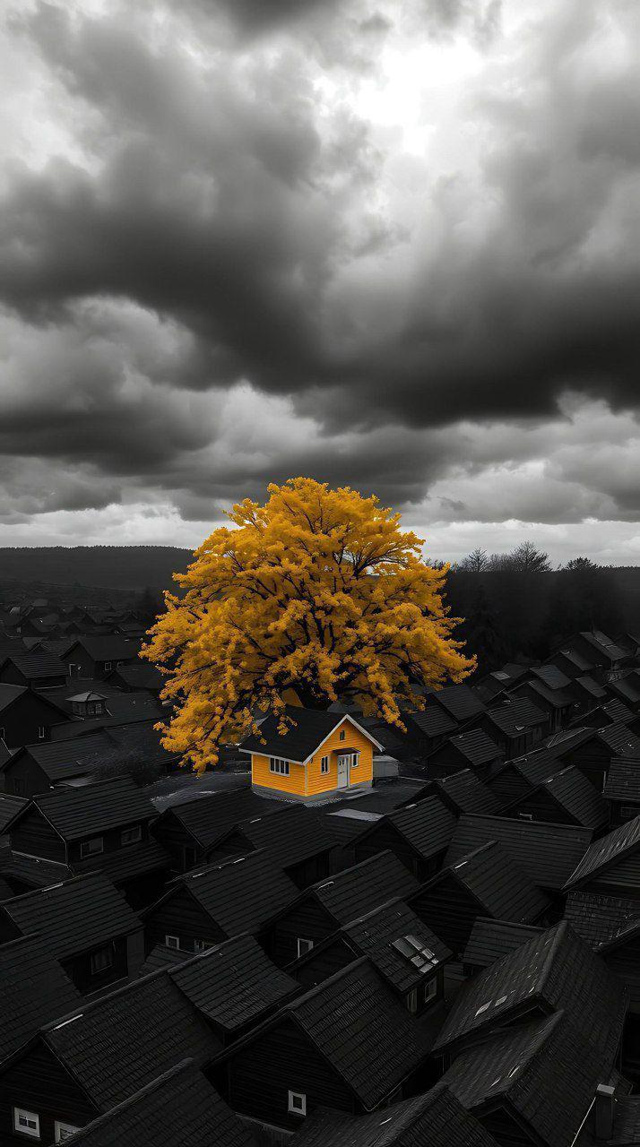 وقتی  فک میکنی همه مثل خودشون خرابن