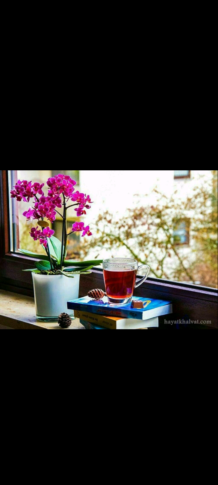 روزمرگی ☀️🌈